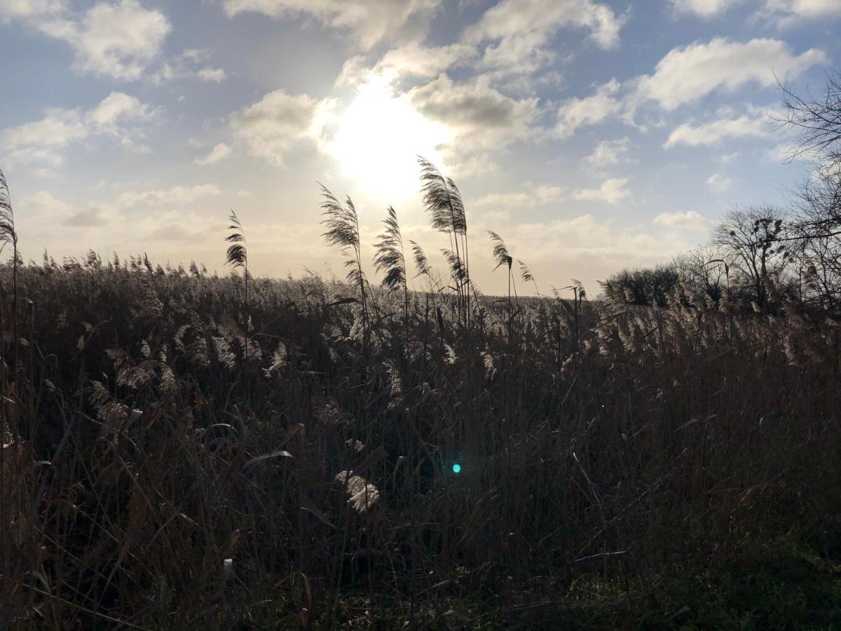 Refugium Raabenhorst Im Landhaus Am Haff Stolpe auf Usedom Exteriér fotografie